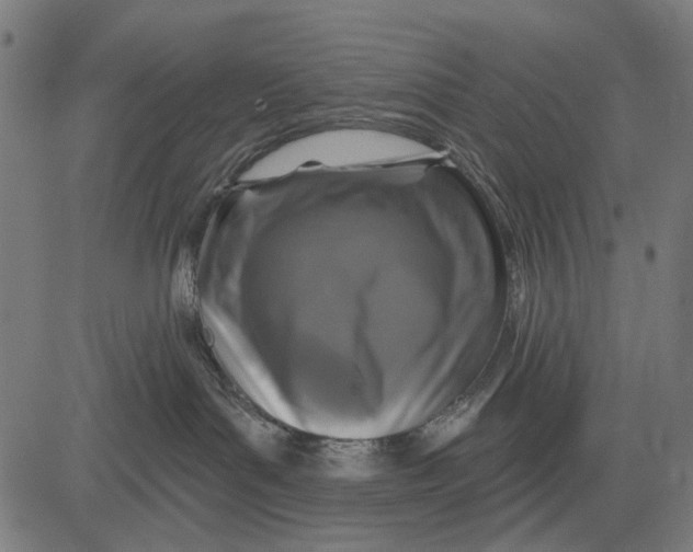X0000081460143200702021817