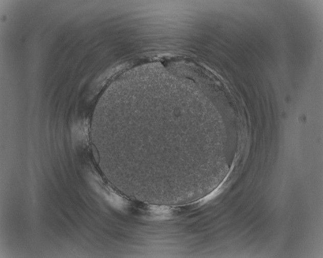 X0000081460144200702021817