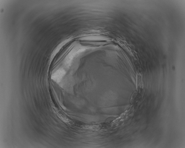 X0000081460147200702021816