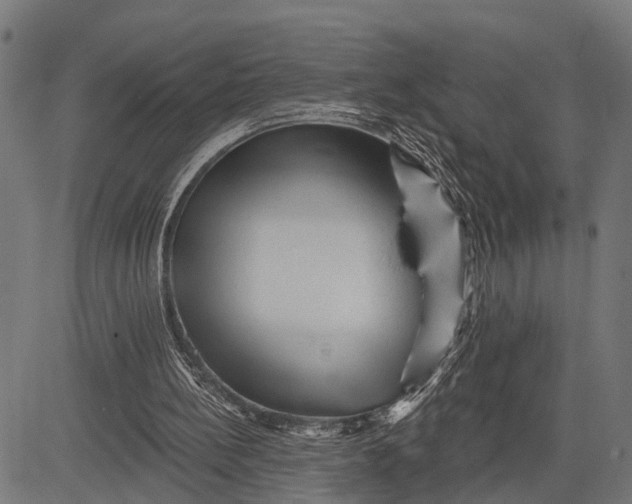 X0000081460148200702021816