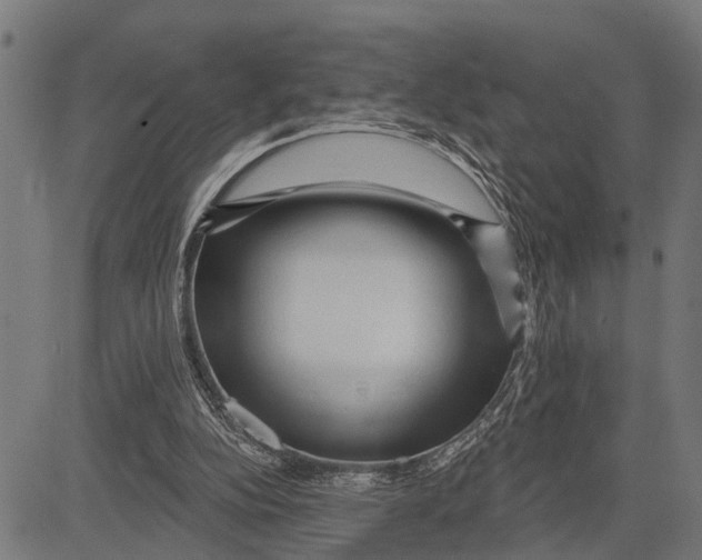 X0000081460152200702021816