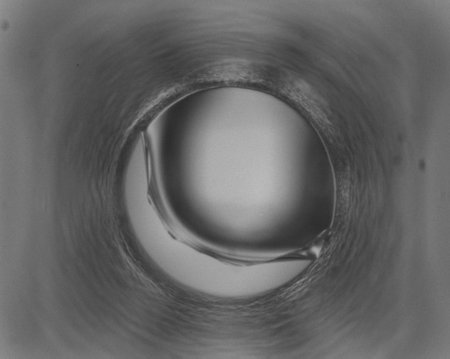 X0000081460160200702021816
