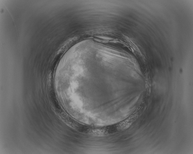 X0000081460163200702021816