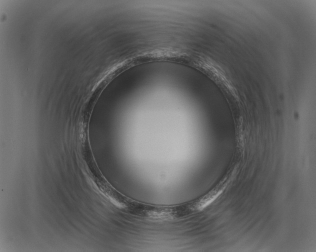 X0000081460164200702021816