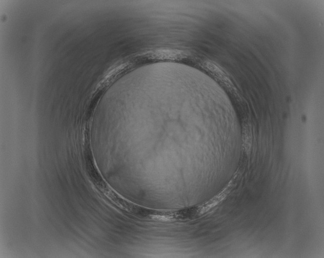 X0000081460167200702021816