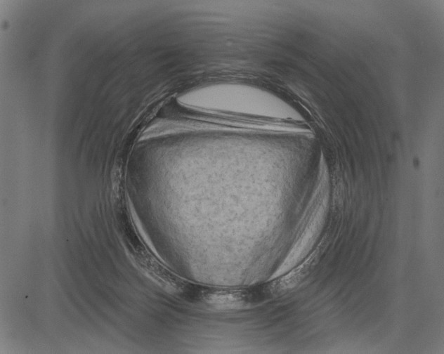 X0000081460171200702021816