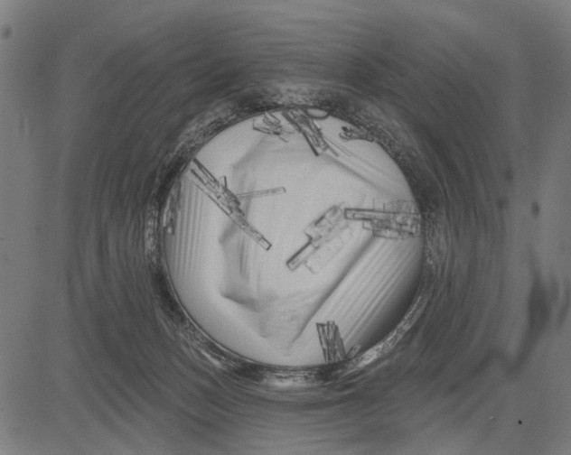 X0000081460175200702021816