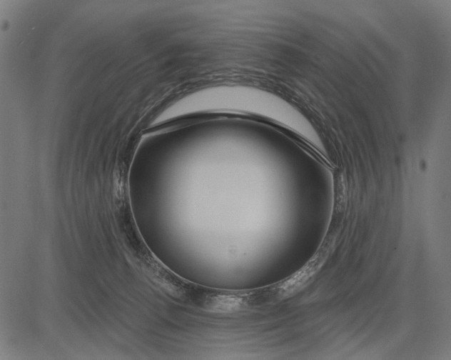X0000081460176200702021816