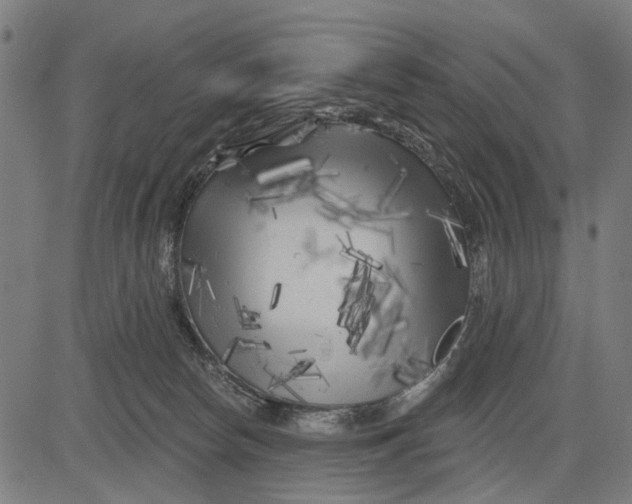 X0000081460178200702021816