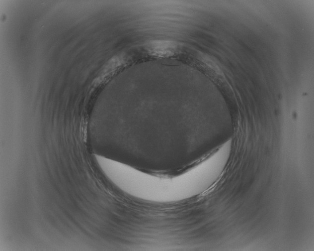 X0000081460180200702021816