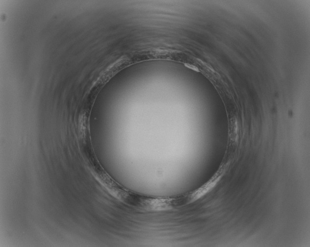 X0000081460184200702021816