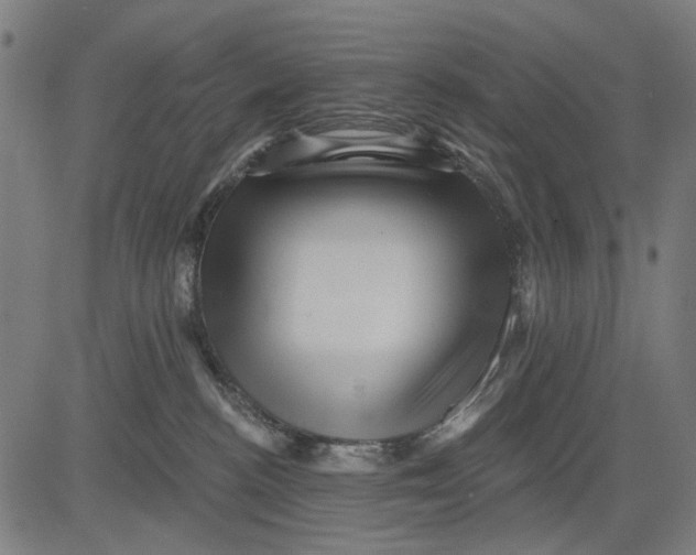 X0000081460188200702021816
