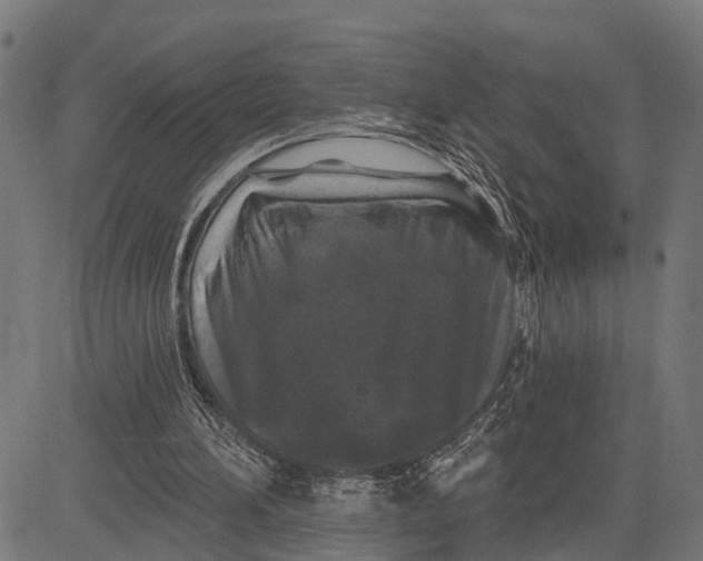 X0000081460196200702021816