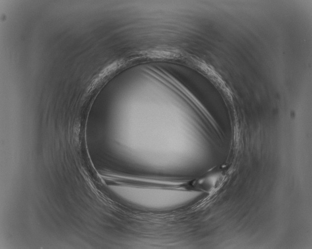 X0000081460201200702021816