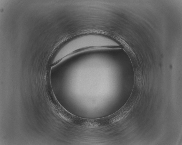 X0000081460207200702021816