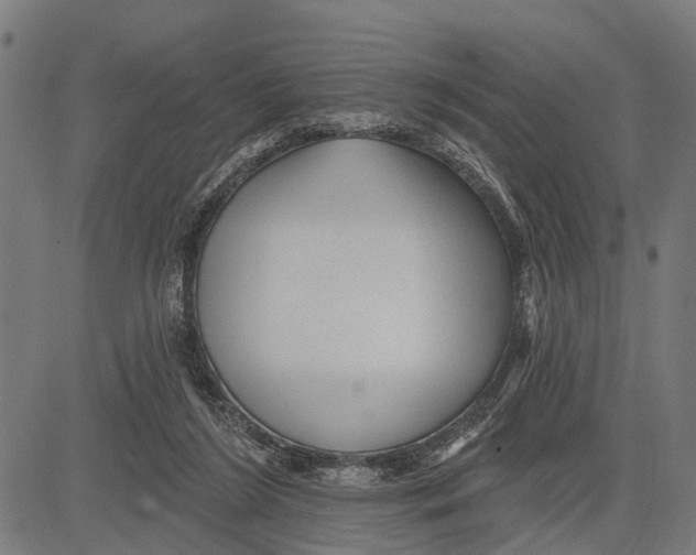 X0000081460212200702021815