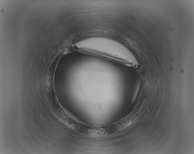 X0000081460215200702021815