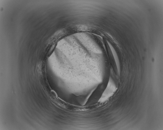X0000081460217200702021815