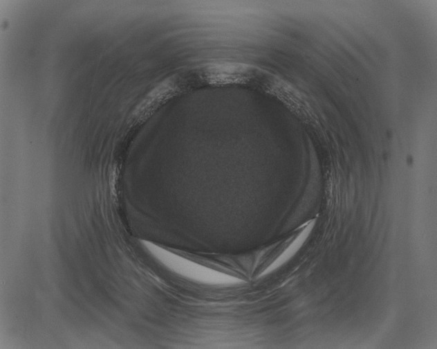 X0000081460219200702021815