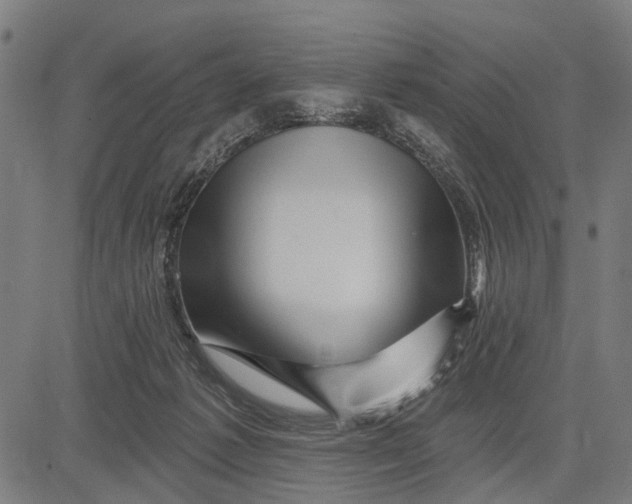 X0000081460221200702021815