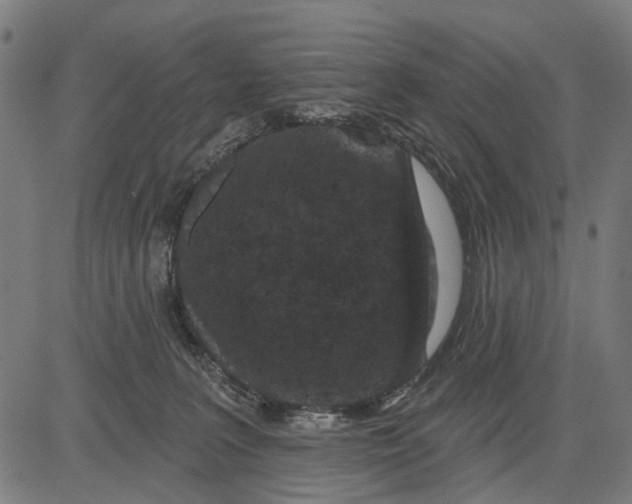 X0000081460227200702021815