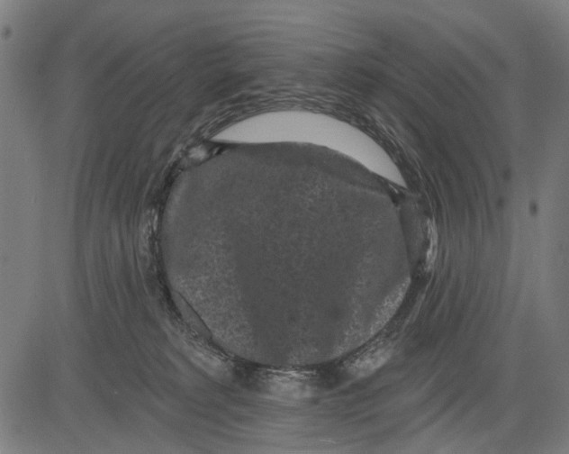 X0000081460229200702021815