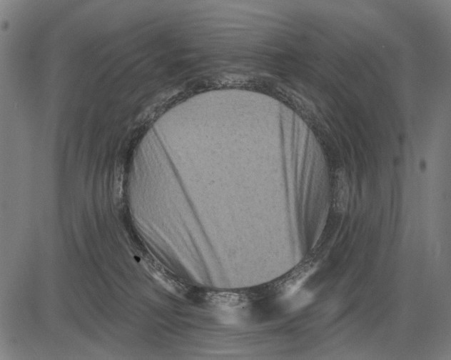 X0000081460230200702021815