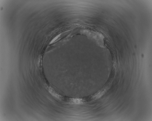 X0000081460233200702021815