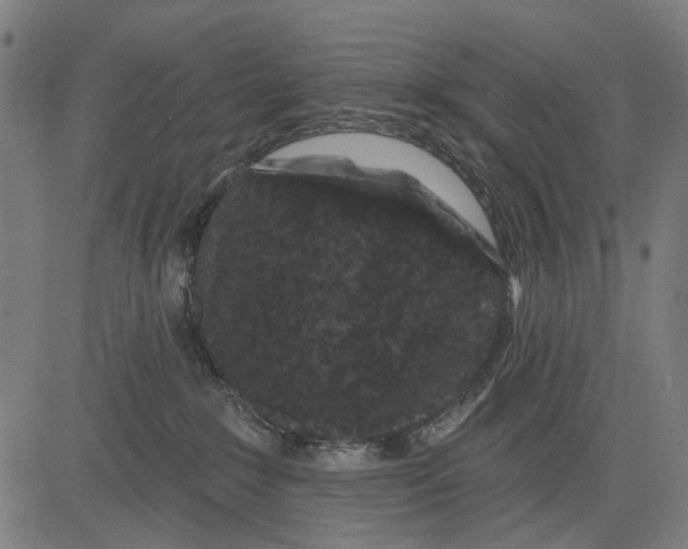X0000081460235200702021815