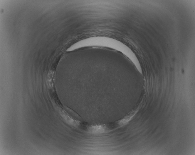 X0000081460237200702021815