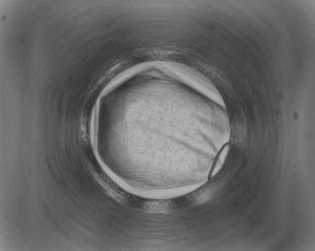 X0000081460238200702021815