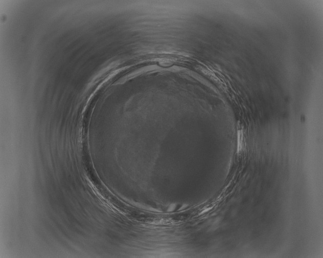 X0000081460243200702021814