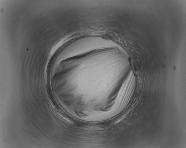 X0000081460246200702021814