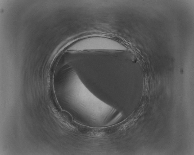X0000081460247200702021814