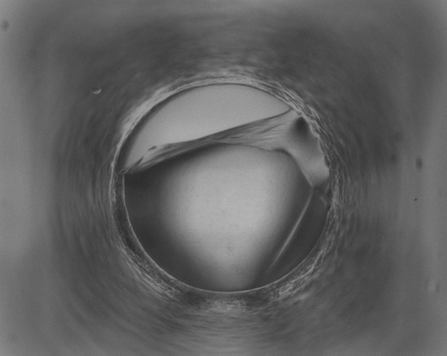 X0000081460248200702021814