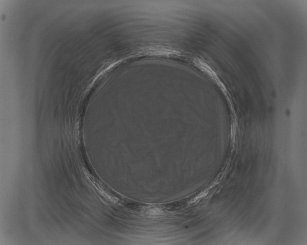X0000081460249200702021814