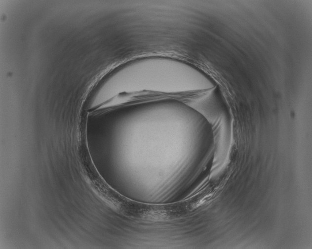 X0000081460252200702021814
