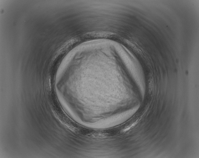 X0000081460254200702021814
