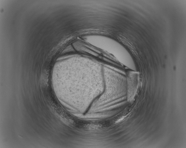 X0000081460255200702021814