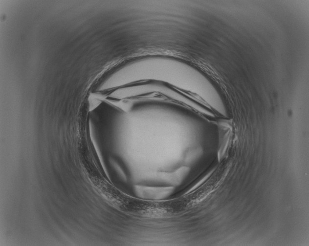 X0000081460256200702021814