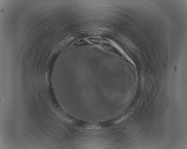 X0000081460258200702021815