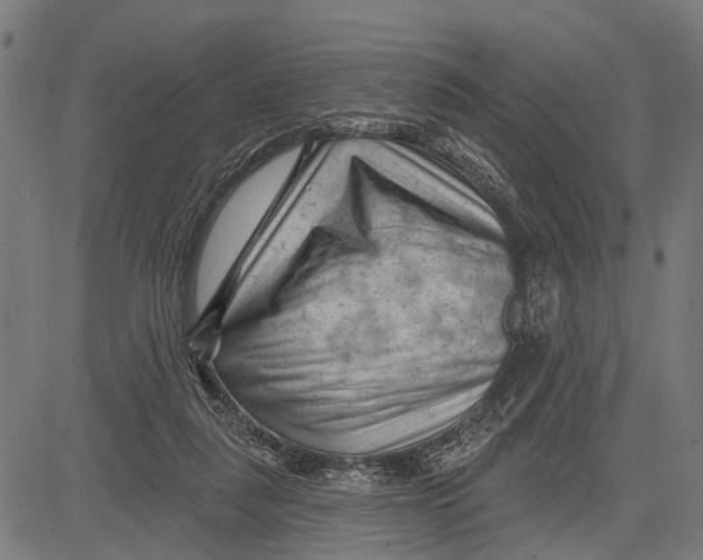 X0000081460259200702021815