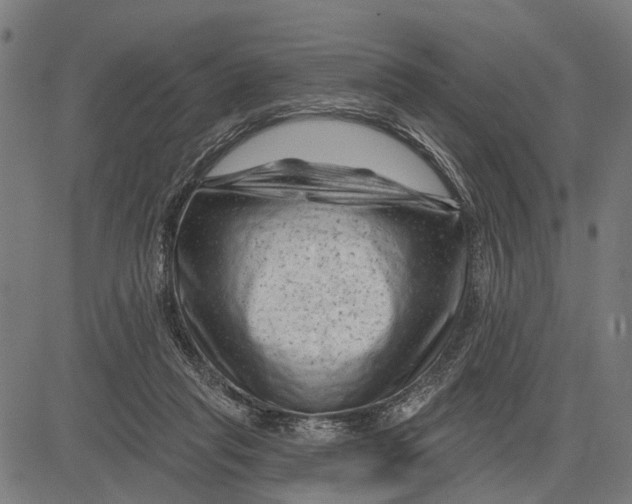 X0000081460261200702021815