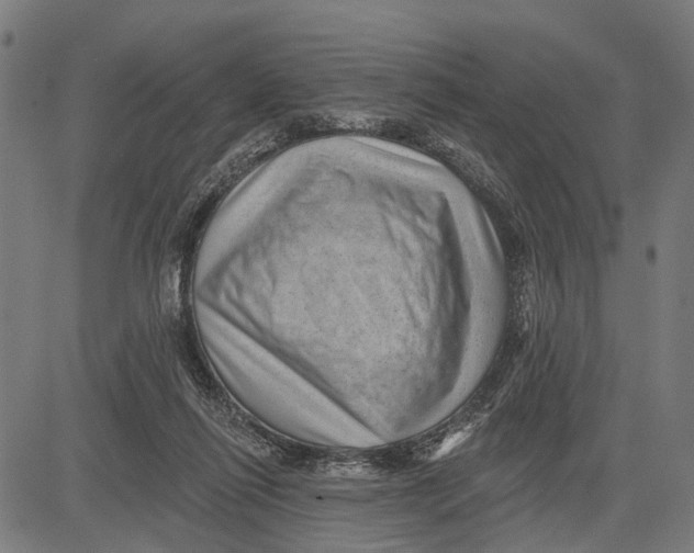 X0000081460262200702021815
