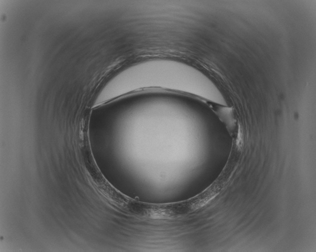 X0000081460264200702021815