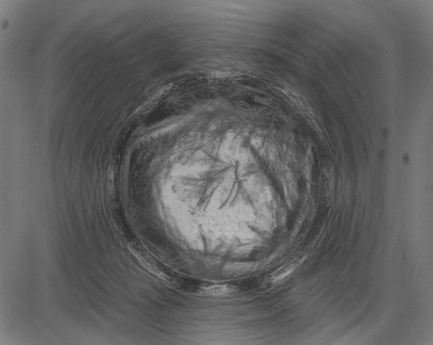 X0000081460269200702021815