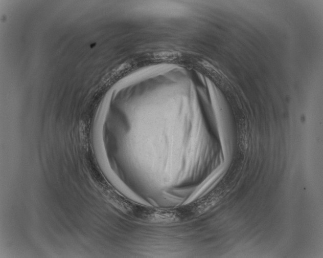X0000081460270200702021815