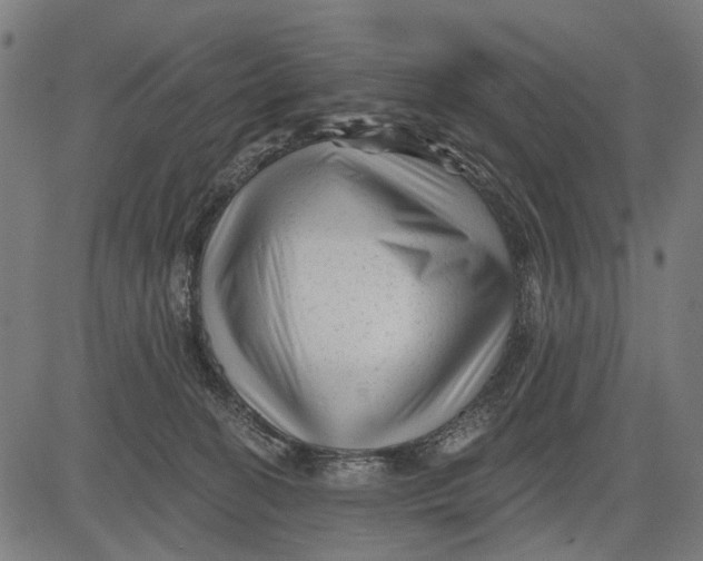 X0000081460274200702021815