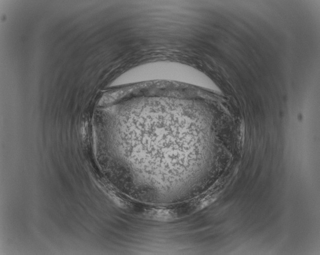 X0000081460276200702021815