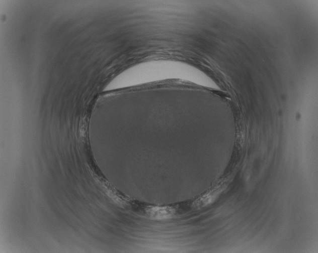 X0000081460277200702021815